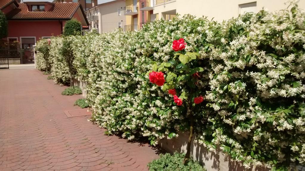 Appartamenti Bedin, Jesolo ภายนอก รูปภาพ